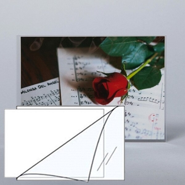 "5 x 7"" Polyester 'L' Sleeves."